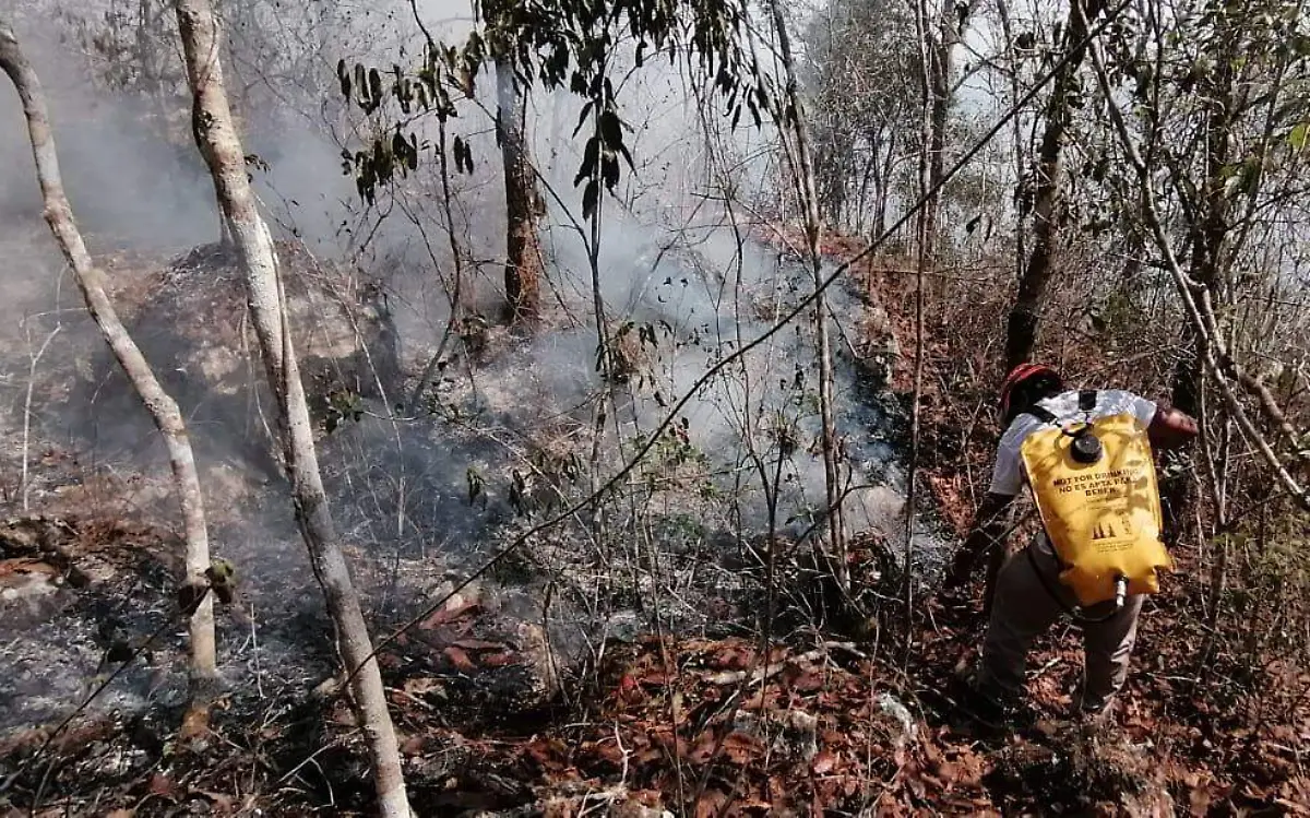 incendio, cañon del sumidero